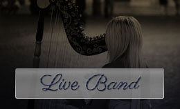 Wedding Bands
