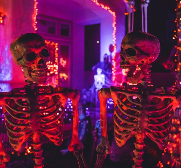 skeletons