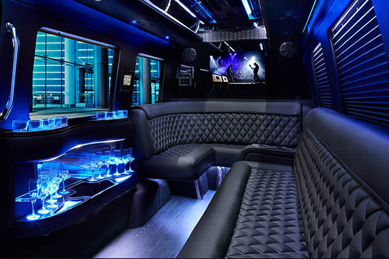 14 passenger minibus rental