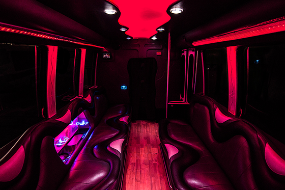 14 passenger minibus rental