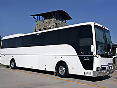 Birthday party bus services