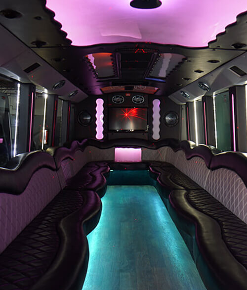 luxury party/luxury coach bus