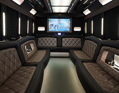 20 passenger party bus 2
